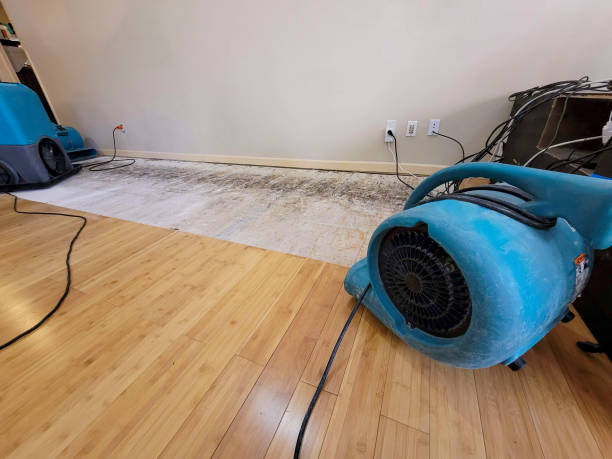 Professional Emergency Water Damage technician working in Lake Milton, OH